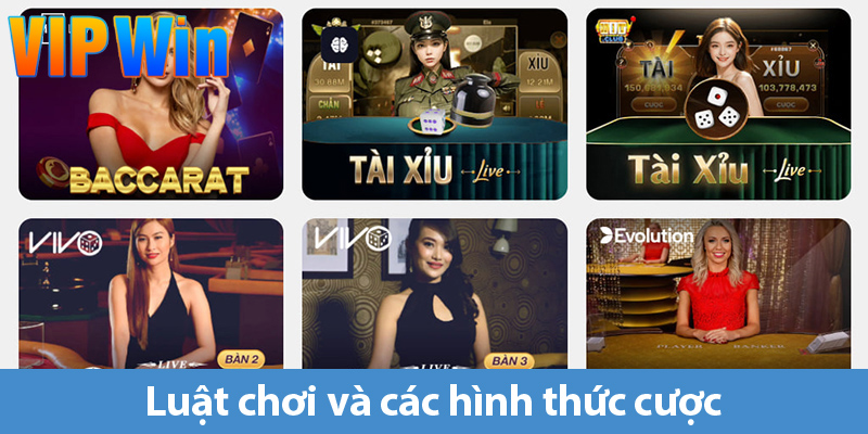 Tài xỉu online - Trải nghiệm hấp dẫn từ cách chơi đến mẹo chiến thắng đỉnh cao
